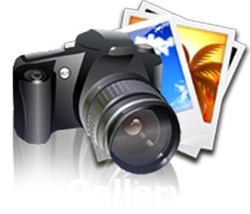 Gallery icon